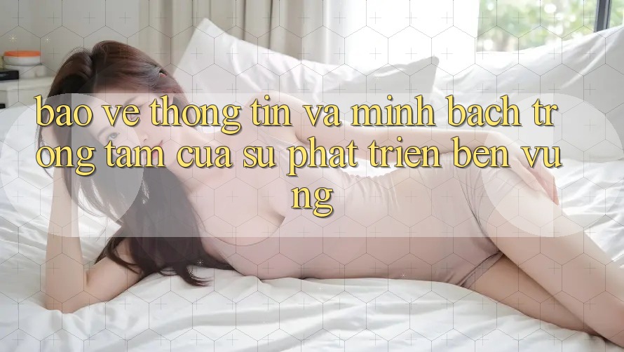 Bảo vệ thông tin Và Minh Bạch: Trọng Tâm Của Sự Phát Triển Bền Vững Bảo vệ thông tin Và Minh Bạch: Trọng Tâm Của Sự Phát Triển Bền Vững