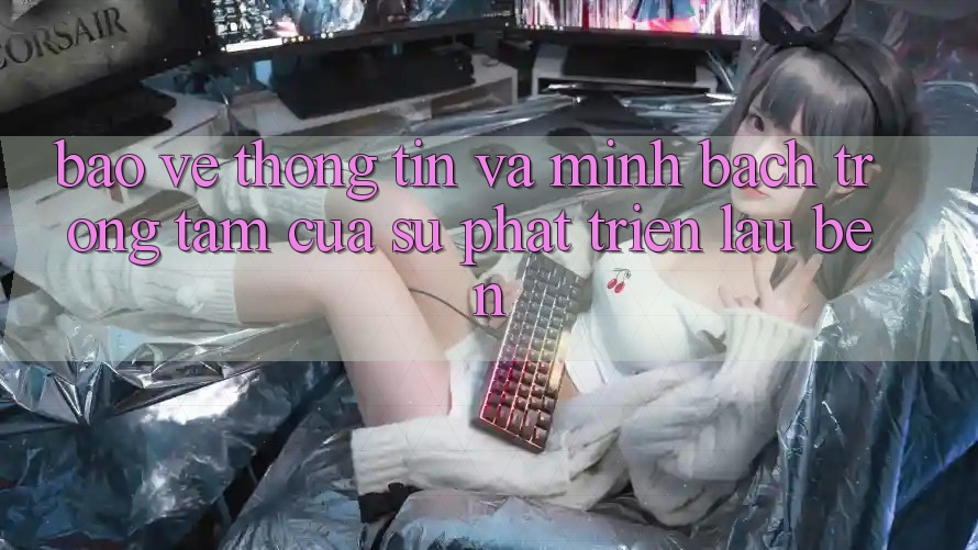 Bảo vệ thông tin Và Minh Bạch: Trọng Tâm Của Sự Phát Triển Lâu bền