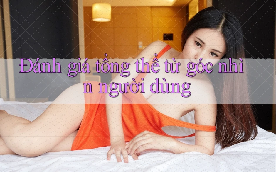 Đánh giá tổng thể từ góc nhìn người dùng Đánh giá tổng thể từ góc nhìn người dùng
