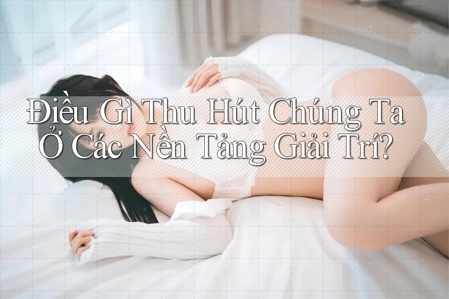 Điều Gì Thu Hút Chúng Ta Ở Các Nền Tảng Giải Trí? Điều Gì Thu Hút Chúng Ta Ở Các Nền Tảng Giải Trí?