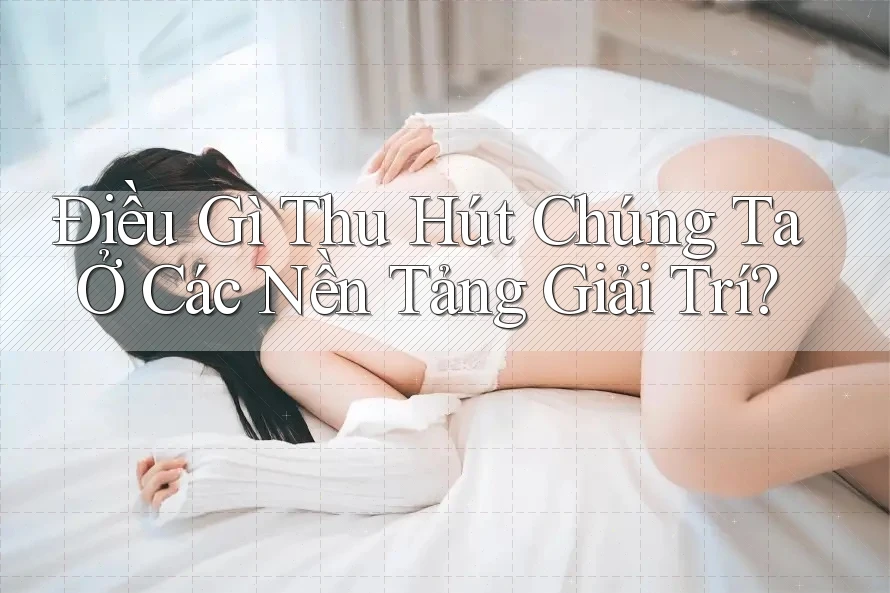 Điều Gì Thu Hút Chúng Ta Ở Các Nền Tảng Giải Trí? Điều Gì Thu Hút Chúng Ta Ở Các Nền Tảng Giải Trí?